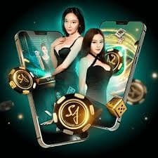 555ww bet